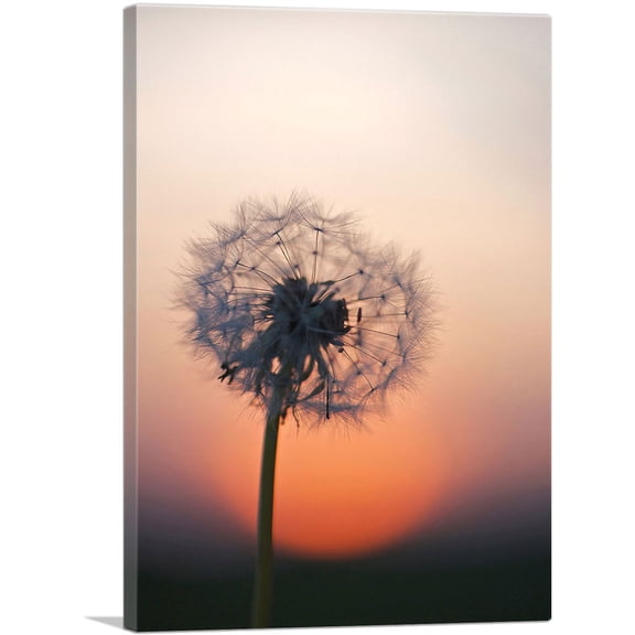 ARTCANVAS Single Dandelion Closeup and Sunset Canvas Art Print - Size: 18" x 12" (1.50" Deep)