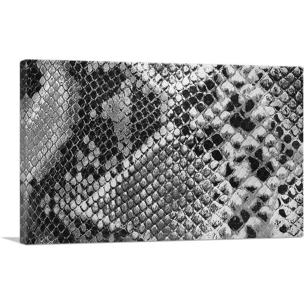 Snake Effect Rectangle ARTCANVAS Snake Skin Home Decor Rectangle Canvas Art Print - Size: 26 ...