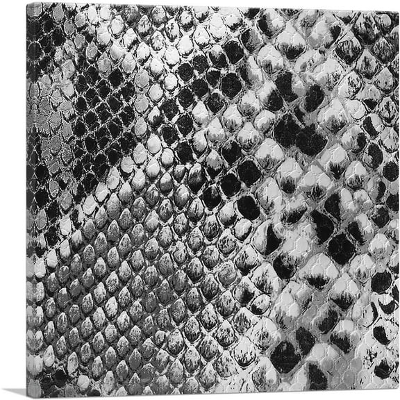 ARTCANVAS Snake Skin Home Decor Square Canvas Art Print - Size: 18" x 18" (0.75" Deep)