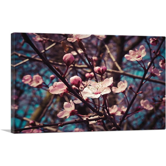 ARTCANVAS Spring Almond Blossom Flowers Canvas Art Print - Size: 26" x 18" (1.50" Deep)