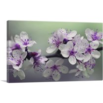 ARTCANVAS Spring Blossom Flower Rectangle Canvas Art Print - Size: 26" x 18" (0.75" Deep)
