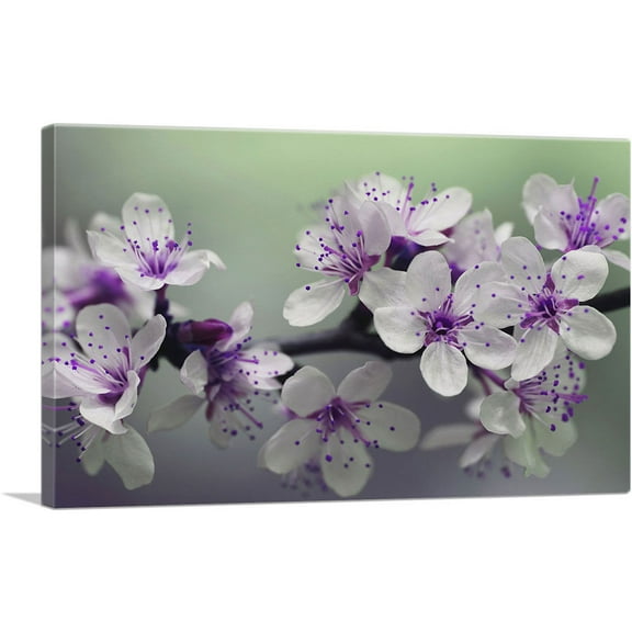 ARTCANVAS Spring Blossom Flower Rectangle Canvas Art Print - Size: 26" x 18" (0.75" Deep)