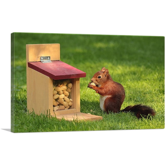 ARTCANVAS Squirrel And Peanuts Home decor Canvas Art Print - Size: 60" x 40" (0.75" Deep) (3-Piece)