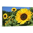thumbnail image 1 of ARTCANVAS Sunflower Field Home decor Canvas Art Print - Size: 60" x 40" (1.50" Deep) (3-Piece), 1 of 9