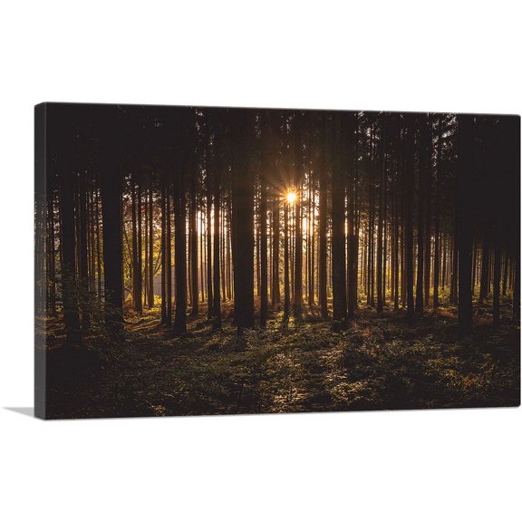 ARTCANVAS Sunset Shining Through a Thick Forest Canvas Art Print - Size: 26" x 18" (0.75" Deep)