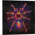 thumbnail image 1 of ARTCANVAS Tarantula Spider Canvas Art Print - Size: 26" x 26" (0.75" Deep), 1 of 9