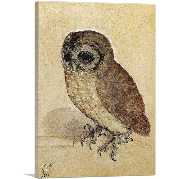 ARTCANVAS The Little Owl-1506 Canvas Art Print by Albrecht Durer - Size: 26" x 18" (0.75" Deep)