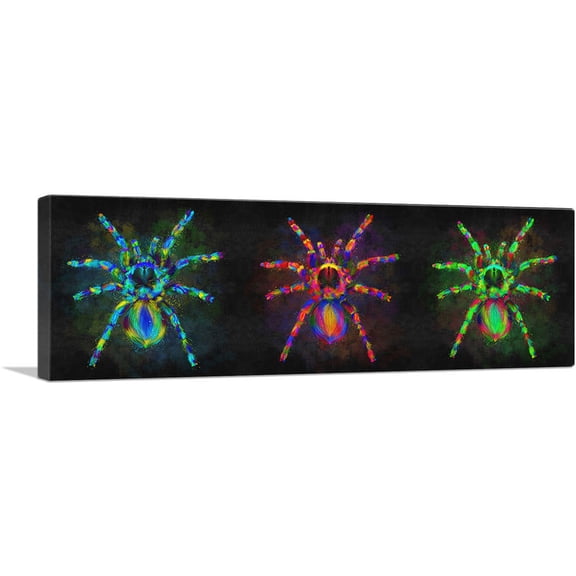 ARTCANVAS Three Tarantula Spiders Canvas Art Print - Size: 48" x 16" (1.50" Deep)