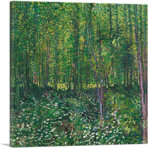 ARTCANVAS Trees and Undergrowth 1887 Canvas Art Print by Vincent Van Gogh - Size: 12" x 12" (0.75" Deep)