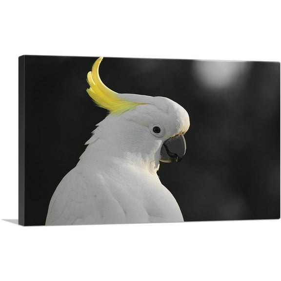 ARTCANVAS White Parrot Bird With Yellow Tuft Canvas Art Print - Size: 26" x 18" (1.50" Deep)