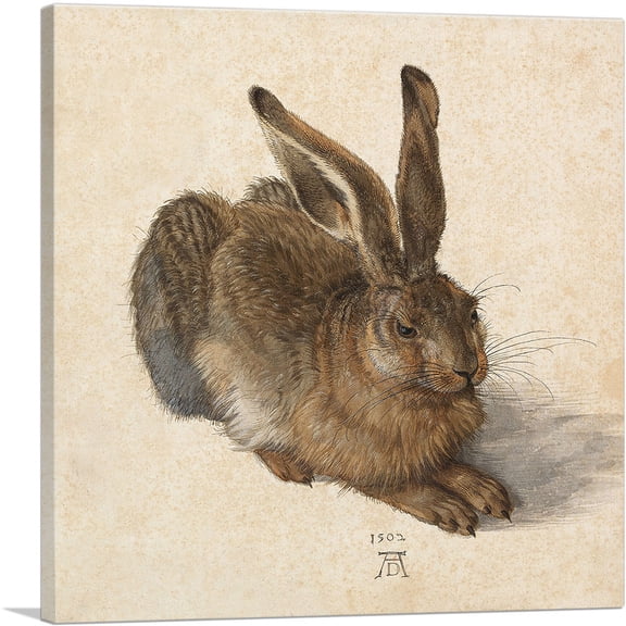 ARTCANVAS Young Hare 1502 Canvas Art Print by Albrecht Durer - Size: 26" x 26" (1.50" Deep)
