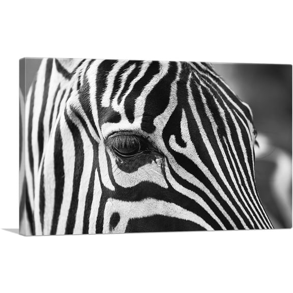 ARTCANVAS Zebra Face Home Canvas Art Print - Size: 40" x 26" (0.75" Deep)