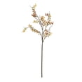 thumbnail image 1 of My Texas House Fall Faux Coriaria Stem, Multicolor, 30", 1 of 5