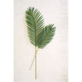 thumbnail image 1 of ARTIFICIAL PALM FRONDS, 1 of 2