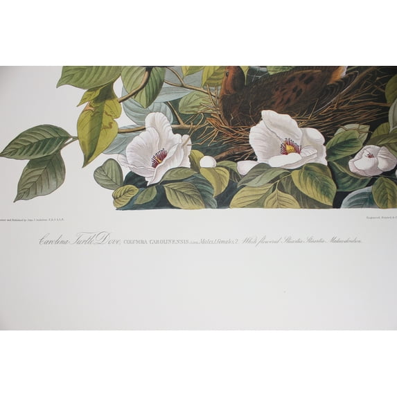 ARTISTS ENCYCLOPEDIA