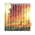 thumbnail image 1 of ARTJIA Autumn Park Scene Shower Curtain, Fall Trees and Leaves Polyester Fabric Shower Curtain Bathroom Sets with Hooks 66x72 Inches, 1 of 3