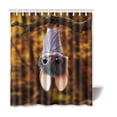 thumbnail image 1 of ARTJIA Bat Waterproof Polyester Bathroom Shower Curtain 66x72 Inches, 1 of 2