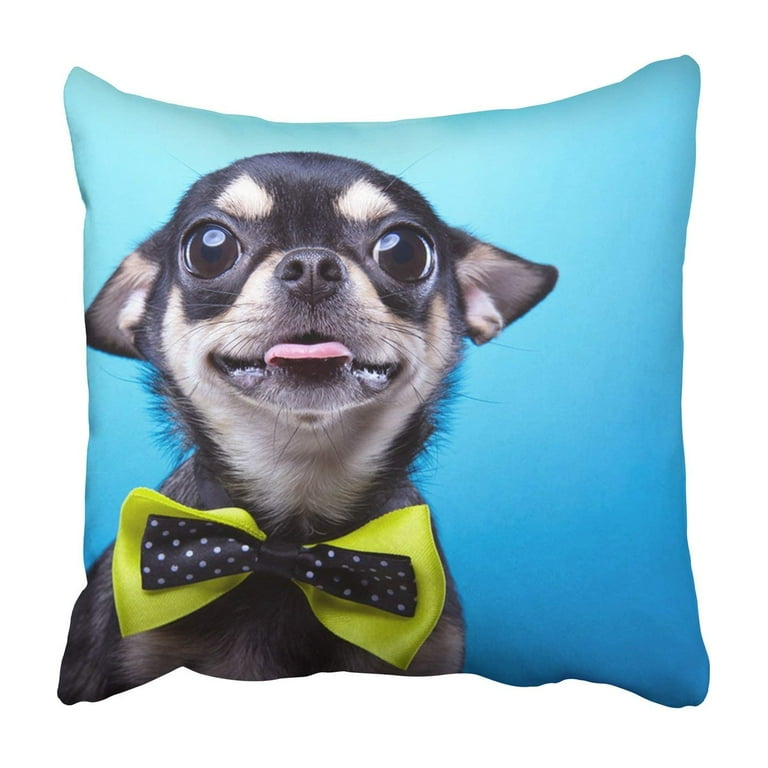 Chihuahua Blue Pillow Case Chihuahua Blue Pillow Case
