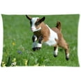 thumbnail image 1 of ARTJIA Cute Baby Goats Pillow Case Pillowcases Cushion Case Cover 20x30 inches, 1 of 1