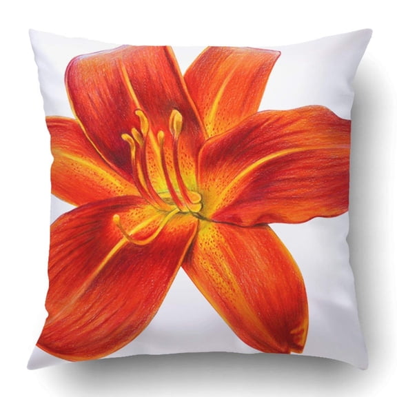 ARTJIA Day Lily Flower Orange Drawing Hemerocallis Pillowcase Pillow Cushion Cover 20x20 inch