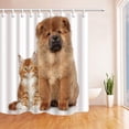 thumbnail image 1 of ARTJIA Family Decor Cute Pets Dog and Cat Sit Together So Lovely and Well-behaved Polyester Fabric Bathroom Shower Curtain 66x72 inches, 1 of 1