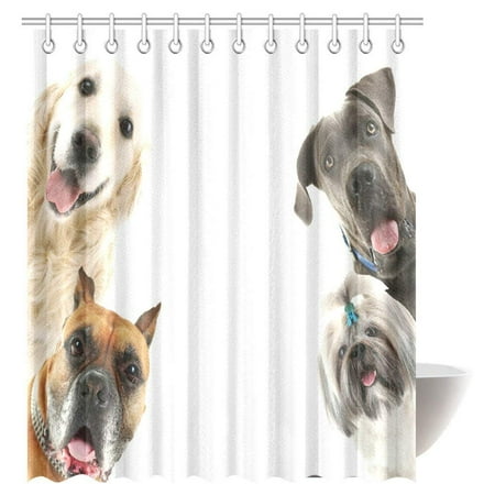 ARTJIA Kids and Teen Room Decor Collection, Pattern with Dogs Retro Style Picture Fabric Bathroom Shower Curtain Set, 66x72 Inches