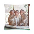 thumbnail image 1 of ARTJIA Monkeys Wooden Throw Pillow Case Pillow Cover Home Sofa Decor 16x16 inches, 1 of 1
