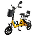 ARTUDATECH Foldable 3 Wheel Electric Tricycle 350W 48V Electric Trike with Front & Rear Basket for Men Women Senior Yellow UL2849