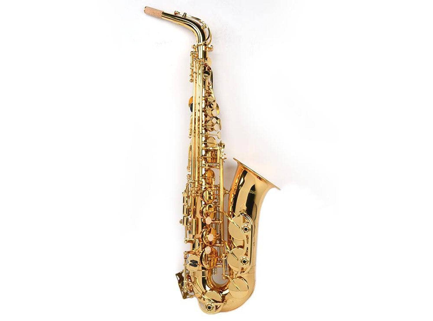 Benjamin Adams AS100 Beginner Alto Saxophone