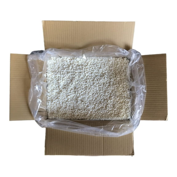 ASA Book Binding Glue, High-Performance Adhesive for Coated Stocks, Fast Dry, White, 10 lbs