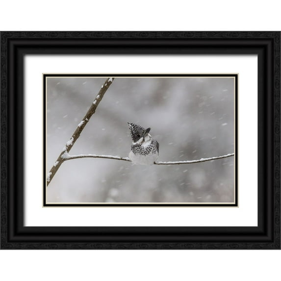 ASAMI, OSAMU 14x11 Black Ornate Wood Framed with Double Matting Museum Art Print Titled - IM Stuckking!
