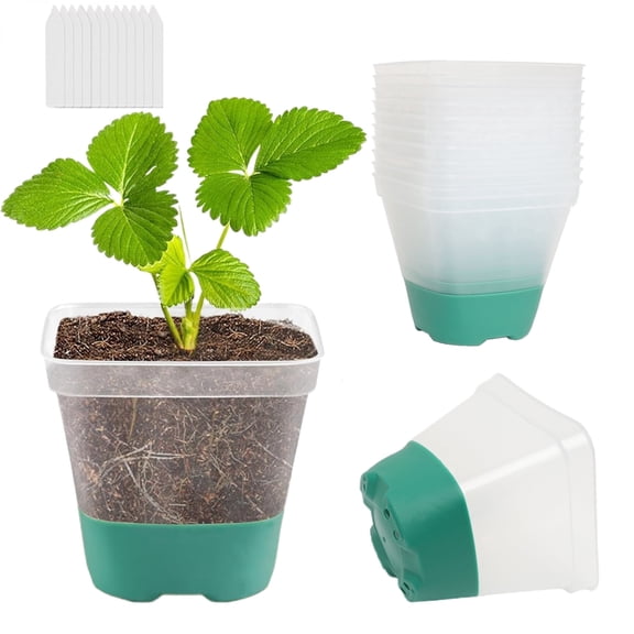 ASDIIT Seed Starter Pots Square Green Plastic Plant Pot with Breathable, 12 Count