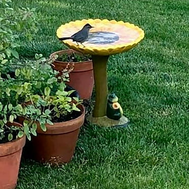 ASEIDFNSA Bird Bath for Outside Resin Animal Birdbath Bird Feeder Round Cute Polyresin Antique Bird Bath Garden Decor for Home Yard