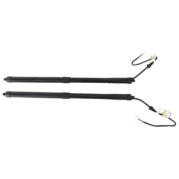 ASFIT-Autoparts 2X Rear Left & Right Tailgate Power Lift Support For Lexus RX350 2016-2019
