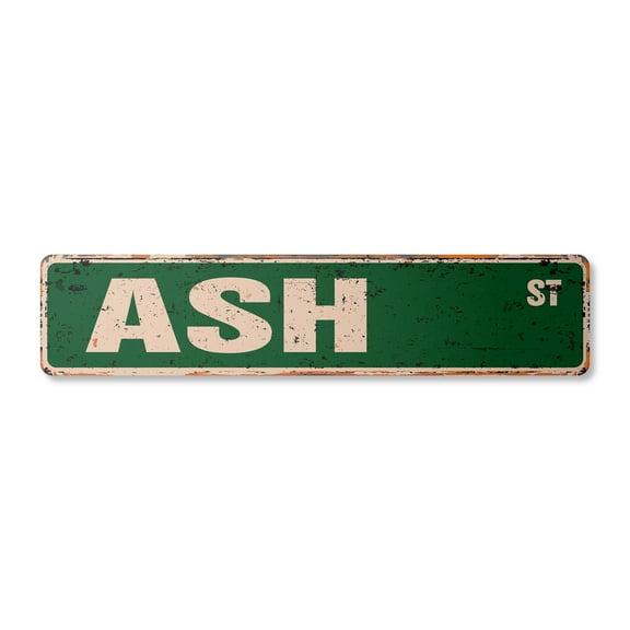 ASH Vintage Aluminum Street Sign Childrens Name Room Metal Sign rustic metal tin | Indoor/Outdoor |  18" Wide