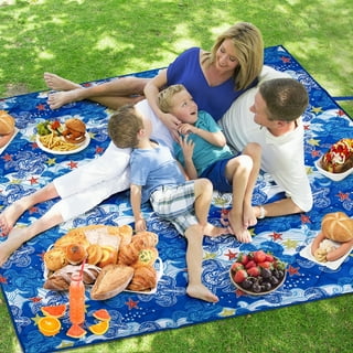 Picnic blanket store walmart in store