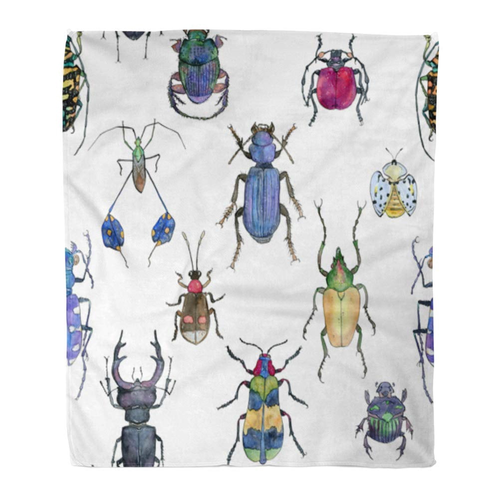 Insect Pattern Throw ASHLEIGH 50x60 inch Super Soft Throw Blanket Colorful Insect of ...