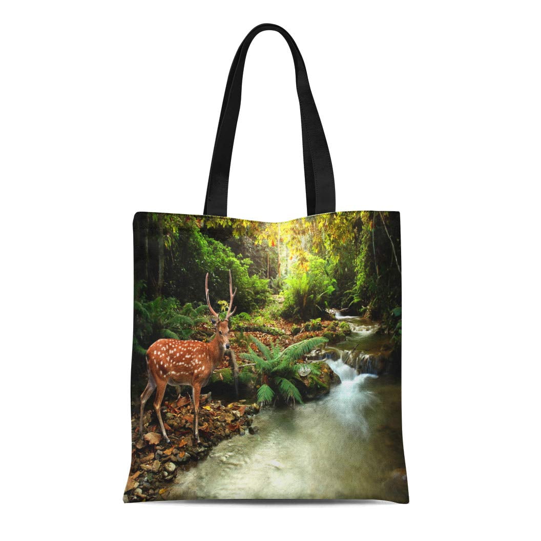 Water-repellent Canvas Contrasting Garden Tote Bag_BDHL8199
