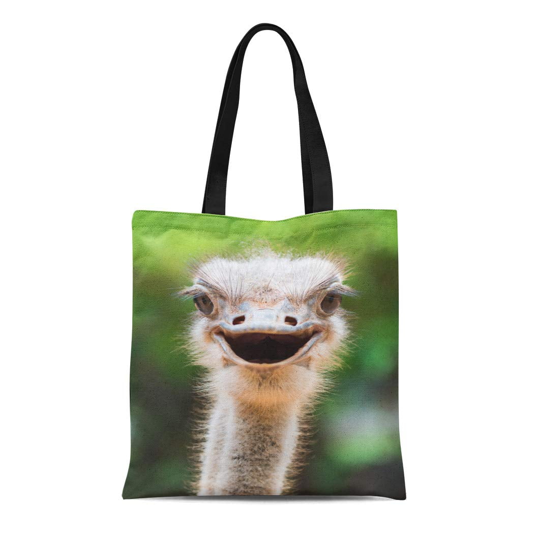 Emu Lux Convertible Bag | Sundance Catalog