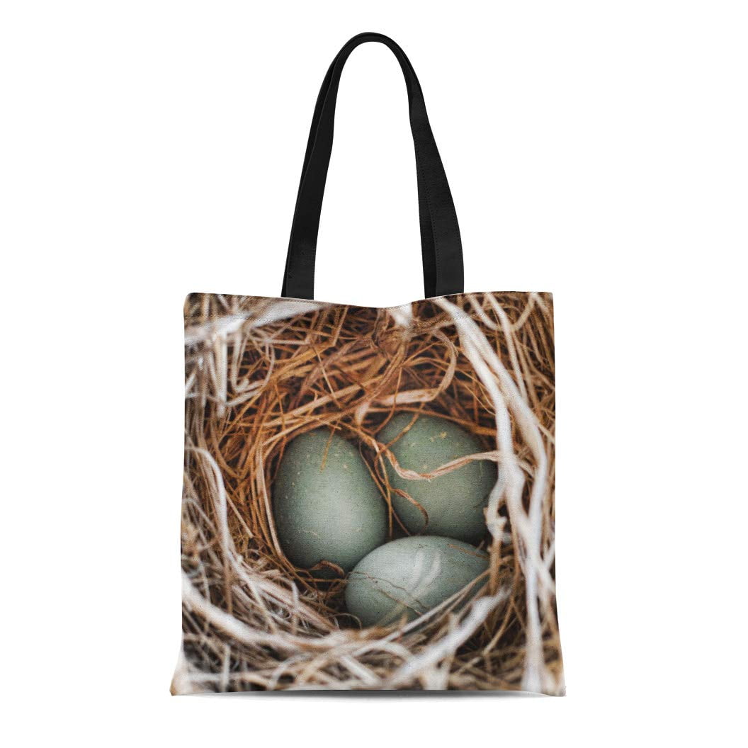 ASHLEIGH Canvas Tote Bag Brown Nature Robin Egg Blue Bird Nest