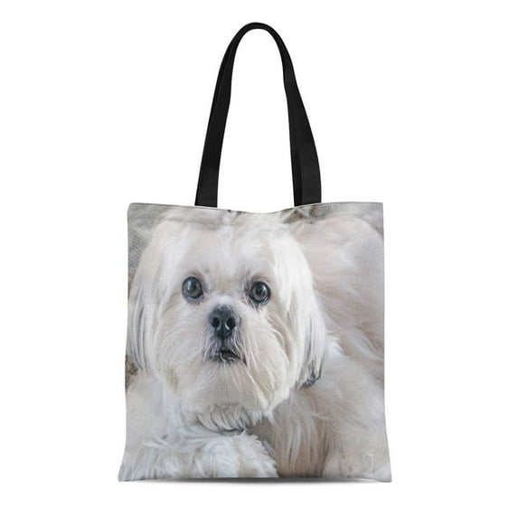 ASHLEIGH Canvas Tote Bag Dog Shih Tzu White Pets Fluffy Friend Fun Animls Reusable Handbag Shoulder Grocery Shopping Bags