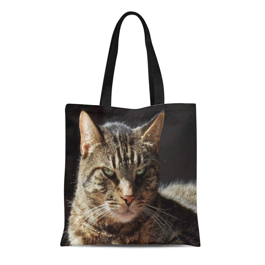 ASHLEIGH Canvas Tote Bag Feline Crabby Tabby Cat Pets Meow Catty Reusable Handbag Shoulder