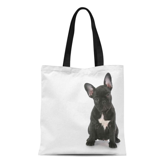 ASHLEIGH Canvas Tote Bag Puppy French Bulldog Sitting Looking at Viewer Reflection Reusable Shoulder Grocery Shopping Bags Handbag