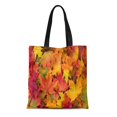 thumbnail image 1 of ASHLEIGH Canvas Tote Bag Red Leaf Fall Leaves Brown Autumn Maple Pattern September Durable Reusable Shopping Shoulder Grocery Bag, 1 of 1
