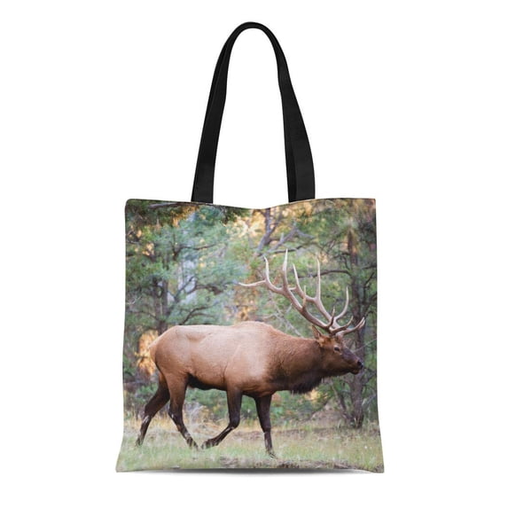ASHLEIGH Canvas Tote Bag Rocky Mountain Elk Lat Cervus Canadensis in the Woods Reusable Shoulder Grocery Shopping Bags Handbag