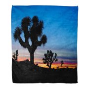 ASHLEIGH Throw Blanket 58x80 Inches Blue Joshua Trees Silhouetted National Park Palm Springs California Colorful Warm Flannel Soft Blanket for Couch Sofa Bed