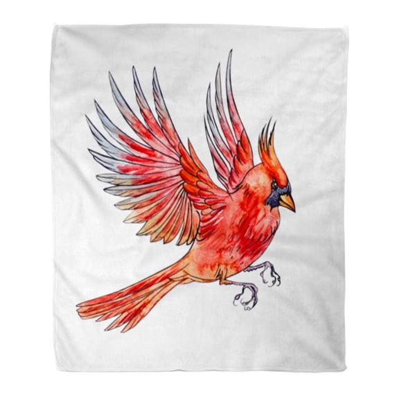 ASHLEIGH Throw Blanket Warm Cozy Print Flannel Colorful Flying Bird Cardinal Sketch of in Watercolor Clipping Path Red Comfortable Soft for Bed Sofa and Couch 50x60 Inches