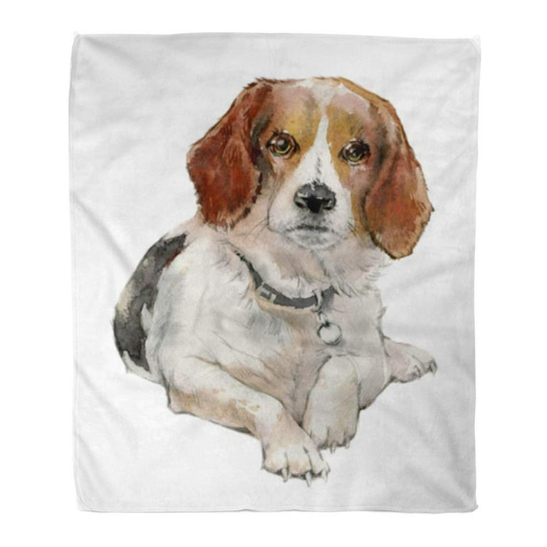 ASHLEIGH Throw Blanket Warm Cozy Print Flannel Colorful Painting of Beagle Dog Portrait Cute Watercolor Basset Comfortable Soft for Bed Sofa and Couch