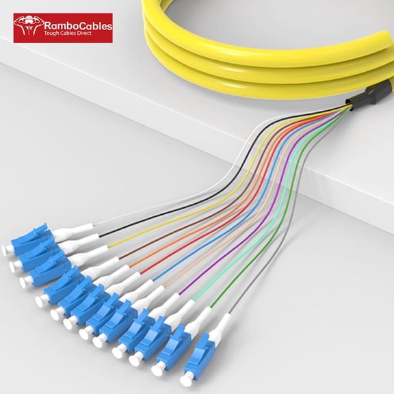 ASIASN-12 Strand LC Fiber Pigtail Single Mode, LC/UPC 12-Fiber OS2 Singlemode Pigtail, for Networks Communication System 1.5m (5ft)