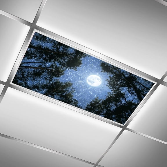 ASIASN-2 Pack Fluorescent Light Covers 4 X 2 Feet Night Forest Magnetic Light Cover for Drop Ceiling, Fluorescent Ceiling Shade Filters for Office Classroom Home Hospital Decor